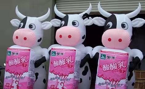 黔南牛奶厂广告气模